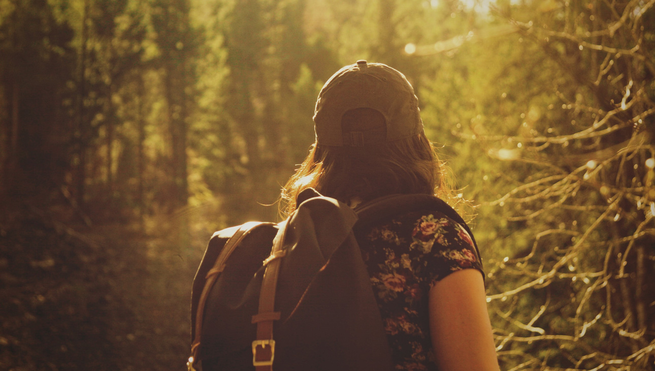 Woman Hiking Through Sunlit Forest.