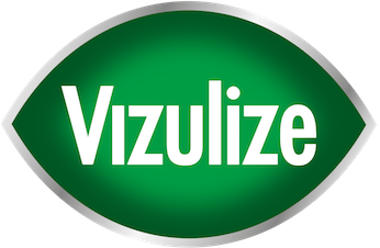 Vizulize Logo.