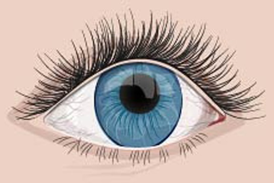 pterygium és látás szemészeti csipesz csomagolása
